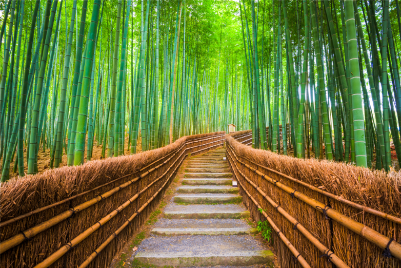 japan_feature_image